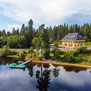 Köhlerei am See